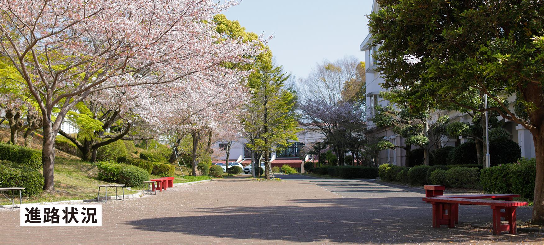 進路状況